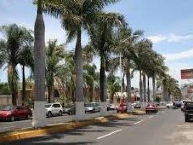 Remodelación de avenida Jacarandas sigue en pie