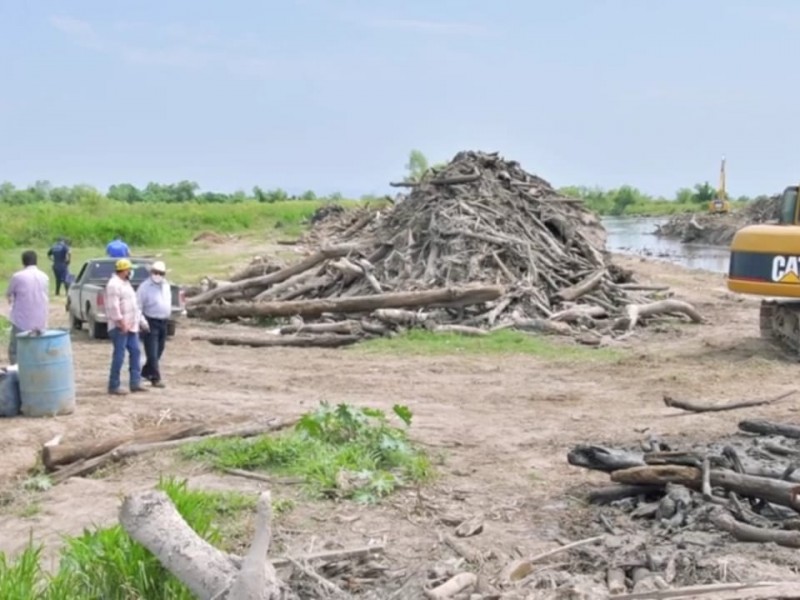 Remueven en Tecuala árboles arrastrados en inundación de 2018