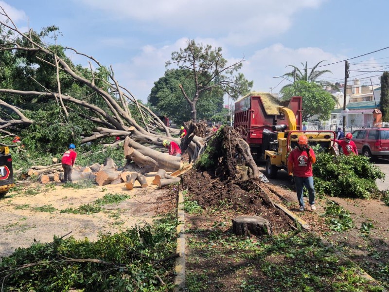 Reparan daños tras tormenta dominical en Zapopan y Guadalajara