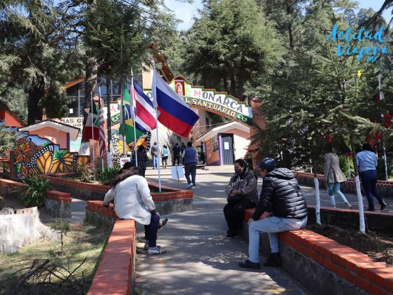 Reportan baja afluencia en santuarios de la Monarca en Michoacán