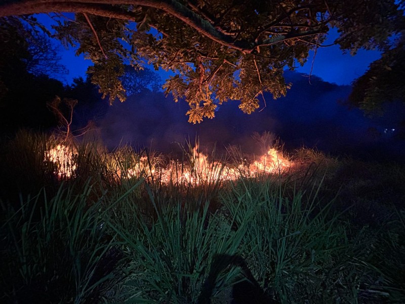 Reporta Bomberos Conurbados disminución de incendios de pastizales