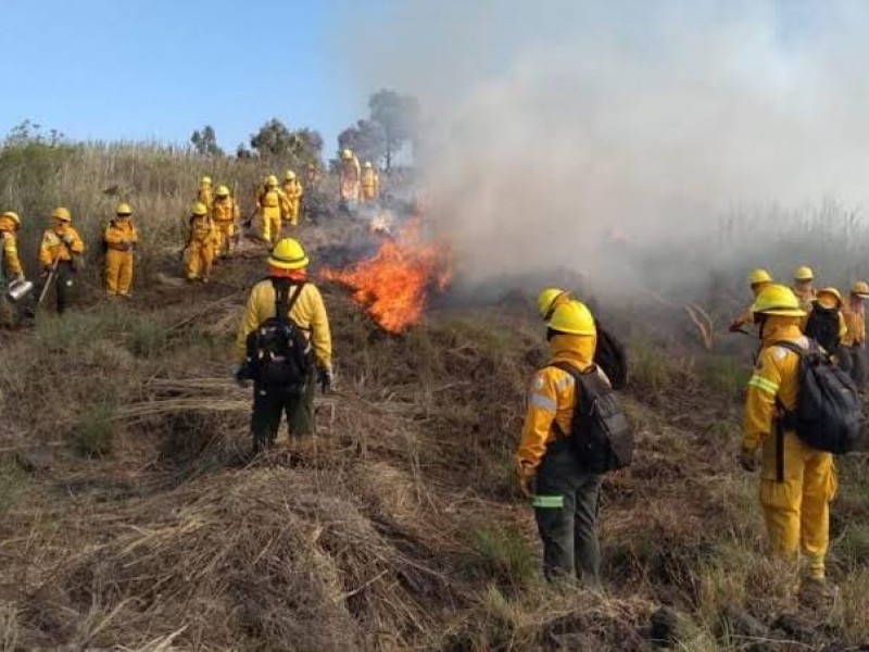 Reporta CONAFOR disminución de incendios forestales respecto de 2021