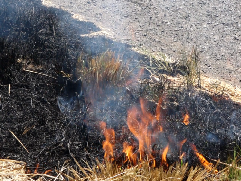 Reporta medio ambiente 152 quemas en predios, ninguno fue multado