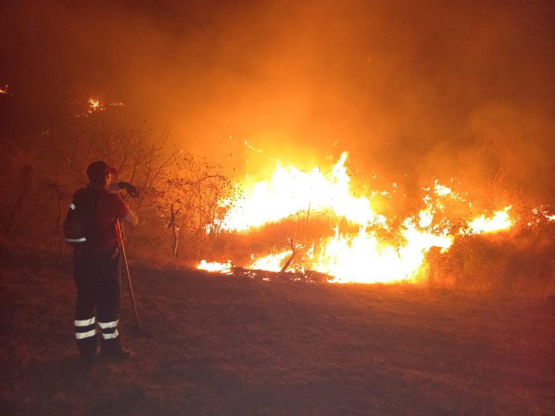 Reporta PC seis incendios forestales activos en Guerrero
