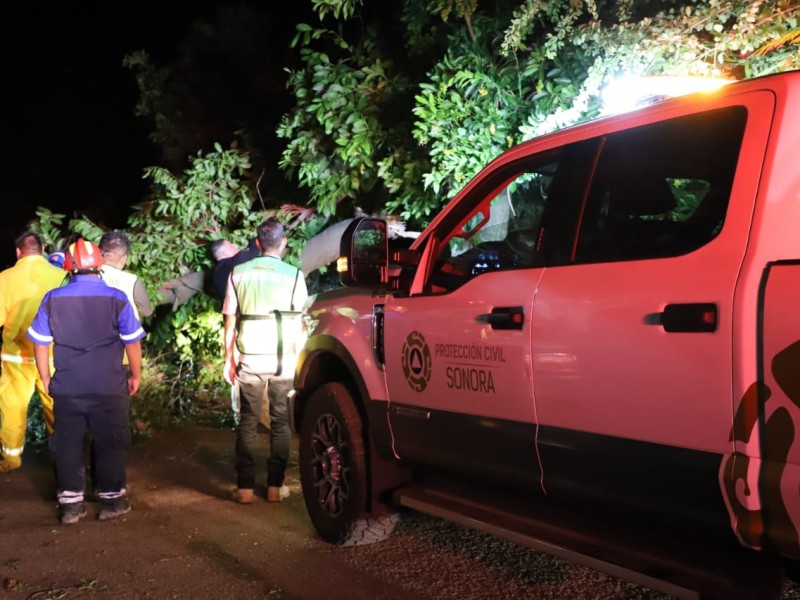 Reporta Protección Civil Sonora saldo blanco por tormenta de arena