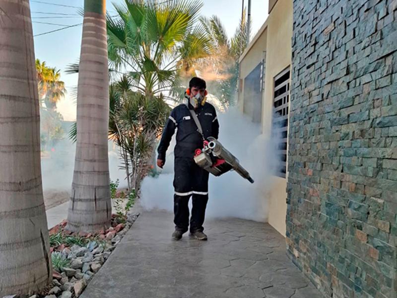 Reporta salud 325 casos de dengue confirmados