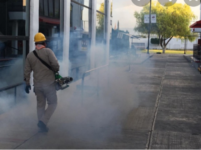 Reporta SEJ mil 500 casos de dengue