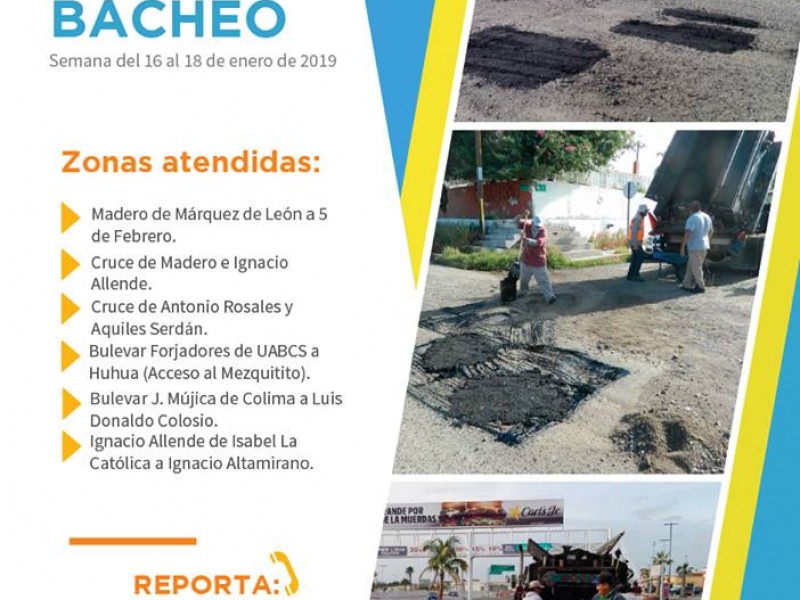 REPORTA TU BACHE A LA SEPUIM