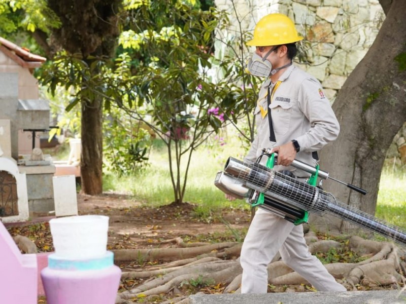 Reportan 116 casos nuevos de dengue en Oaxaca