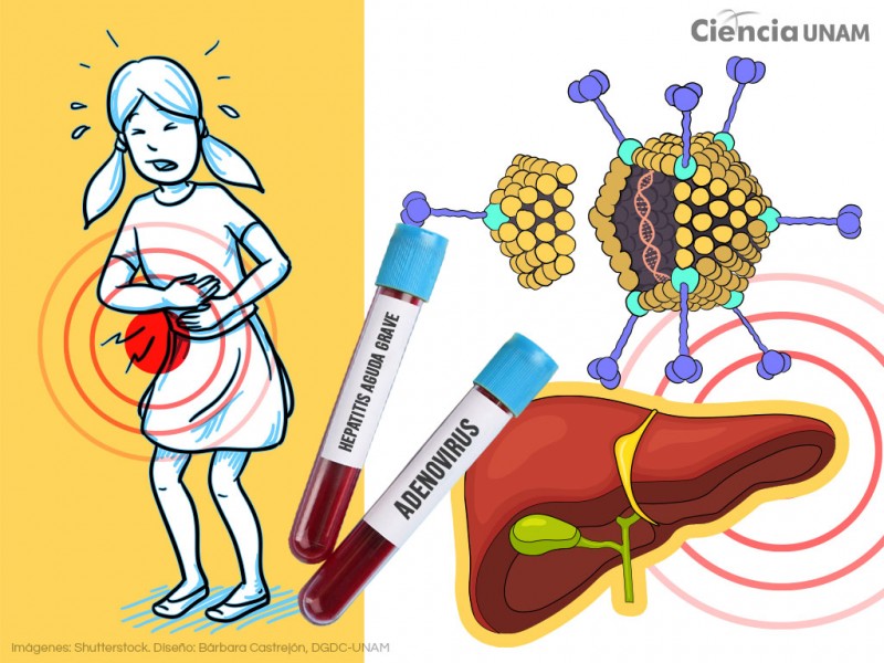 Reportan 21 casos de Hepatitis en Mojarritas, Santiago Ixcuintla