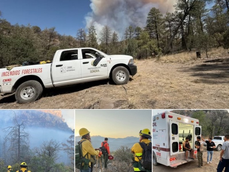 Reportan 80% de control de incendio forestal en Agua Prieta, Sonora
