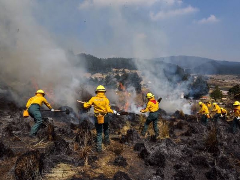 Reportan 9 incendios forestales en la región Zamora durante 2023