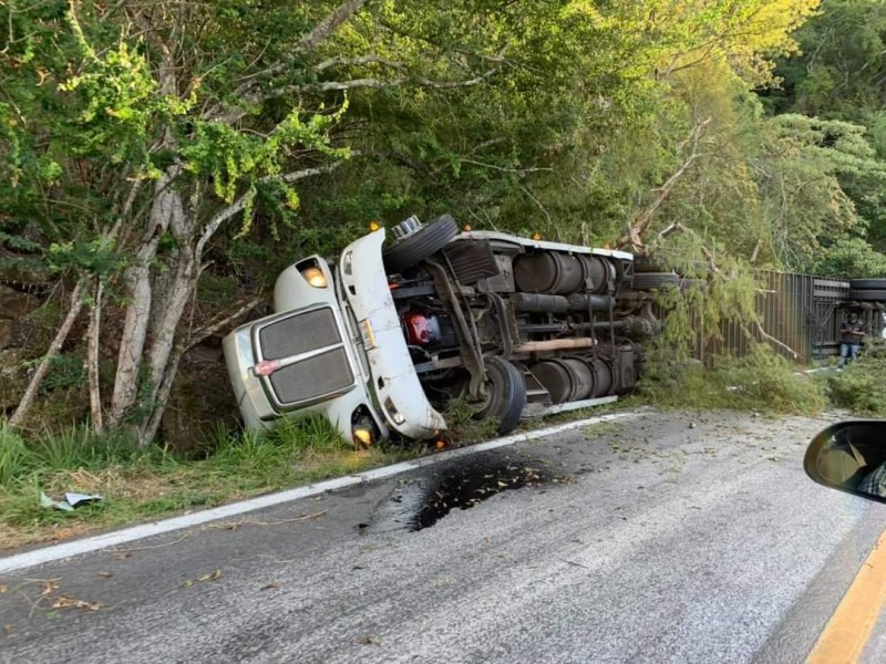 Reportan accidente en la carretera federal 200; vuelca trailer