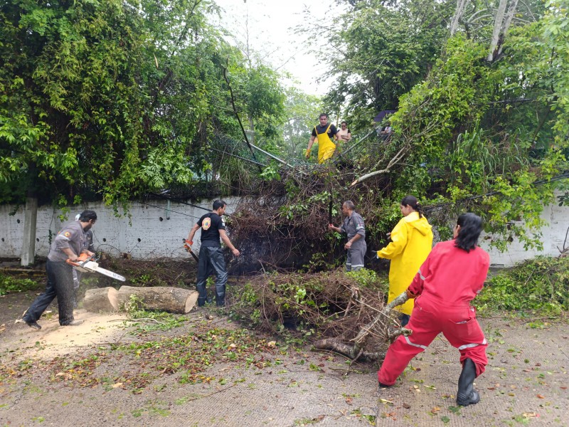 Reportan afectaciones menores tras lluvias en Tuxpan