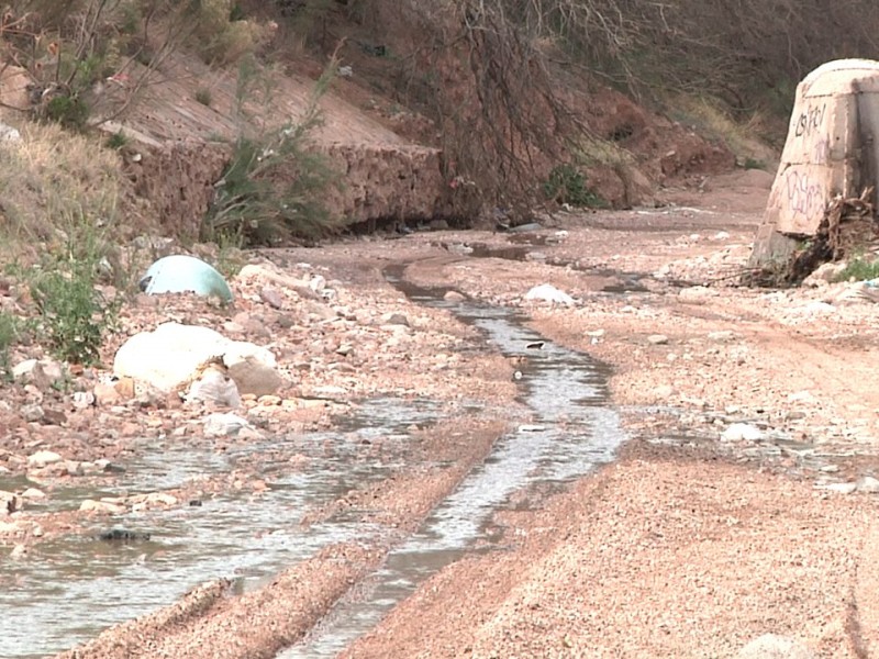 Reportan aguas negras en arroyo