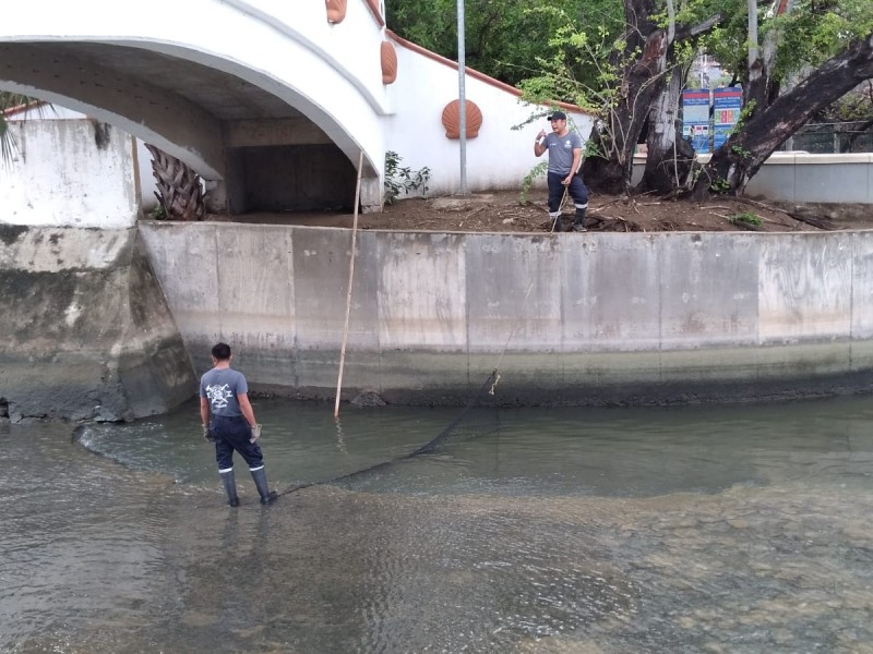 Reportan avistamiento de cocodrilo en canal La Boquita