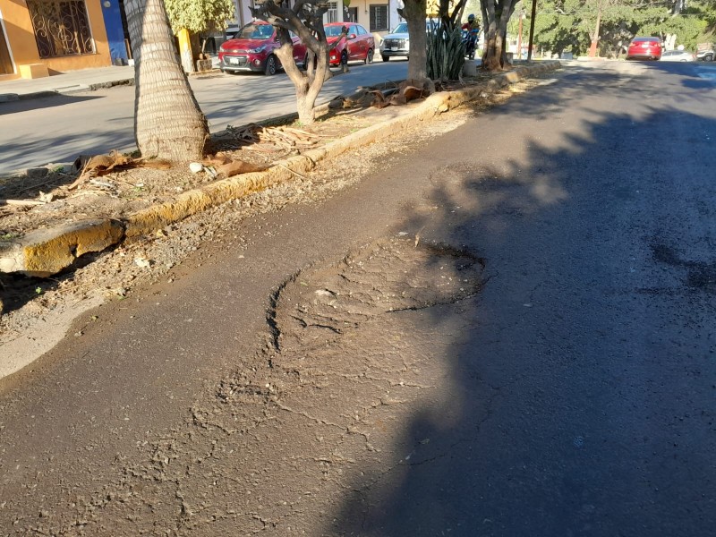 Reportan bache y socavón en calle Francisco I. Madero