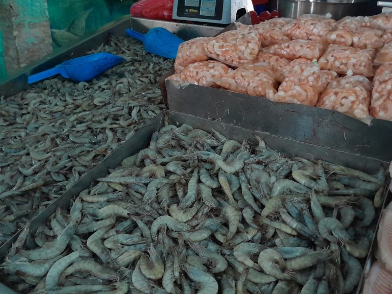 Reportan bajas ventas de mariscos en plena cuaresma