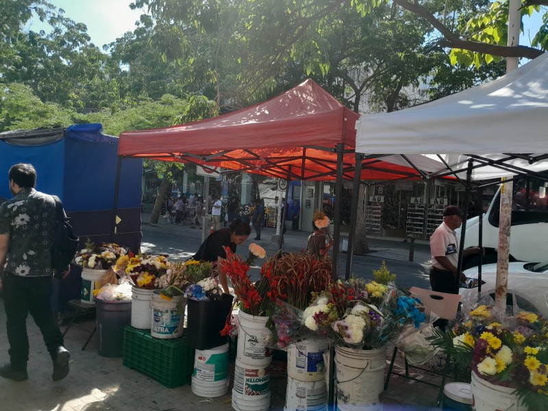 Reportan buenas ventas floristas de Culiacán