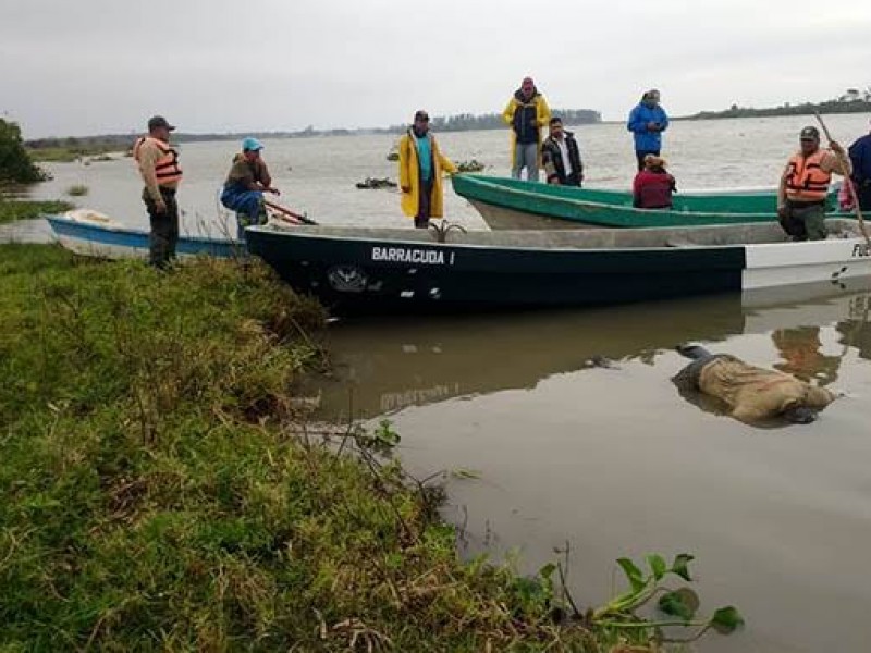 Reportan cadáver flotando en el Río Bobos