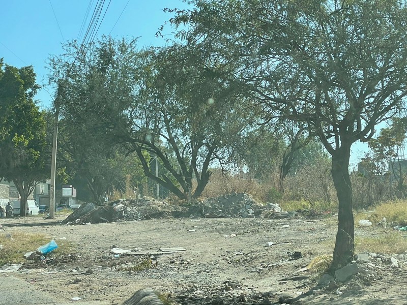 Reportan calle con exceso de basura en El Molino