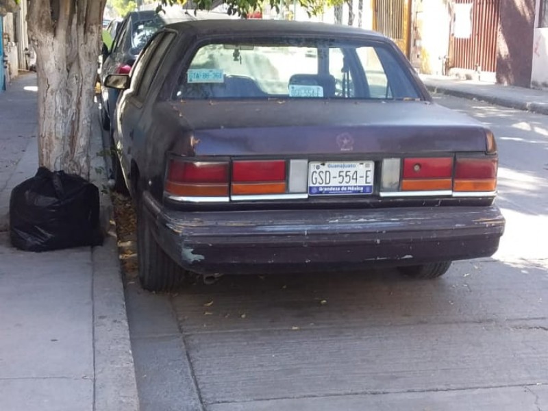 Reportan carros varados en la calle Madre Selva.