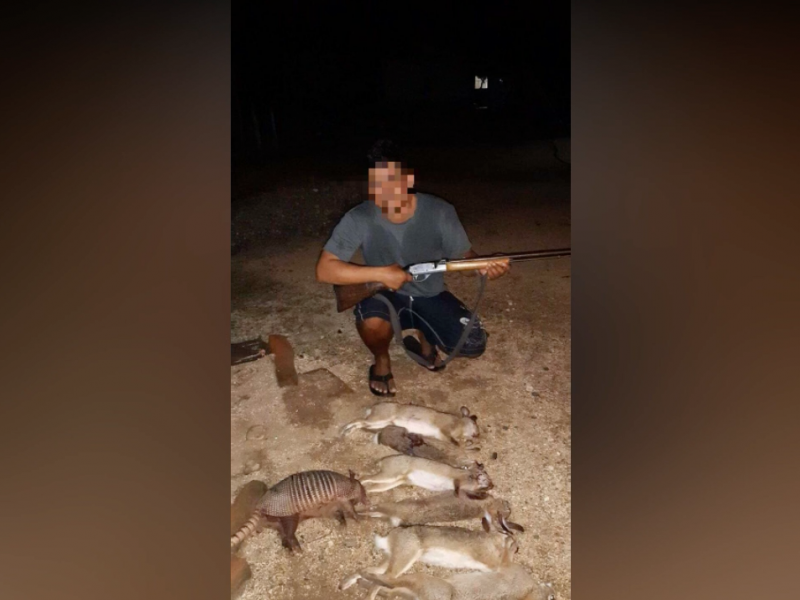 Reportan caza de fauna silvestre en Los Llanitos
