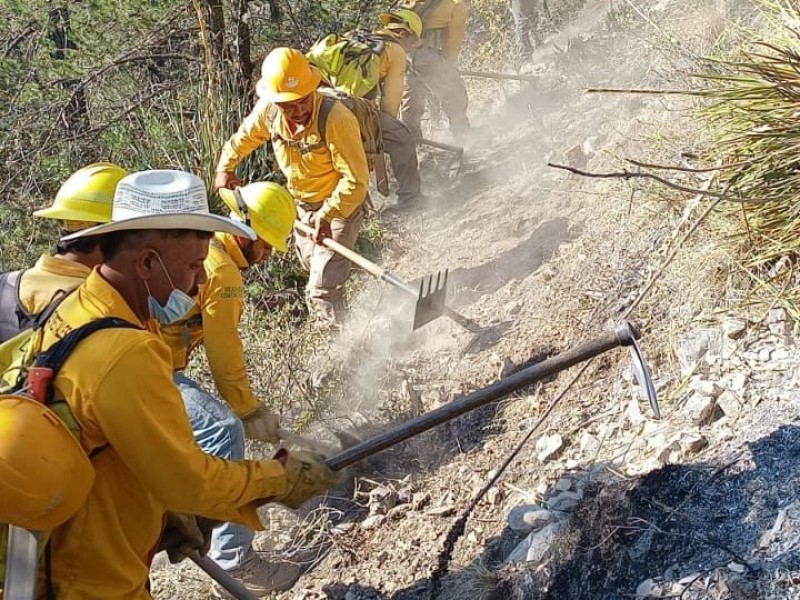 Reportan cinco incendios forestales en Coahuila