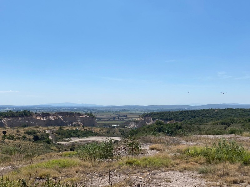 Reportan construcción que está dañando y acabando con la ecología