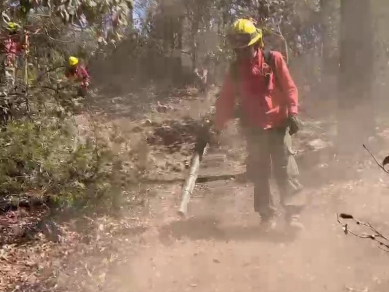 Reportan control de incendio forestal en Yécora del 50%