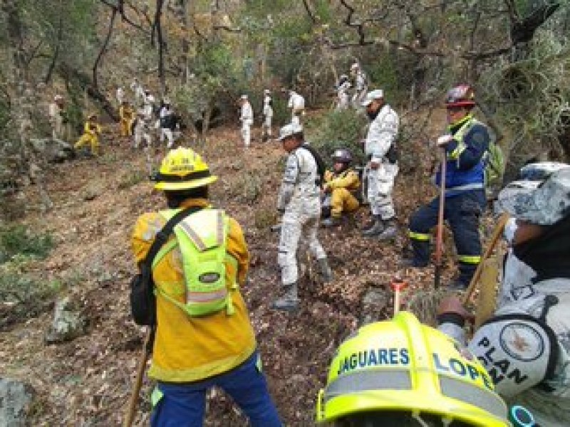 Reportan controlado al 15% el incendio forestal en Coahuila