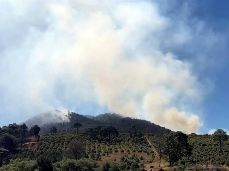 Reportan controlado incendio en Mazamitla 