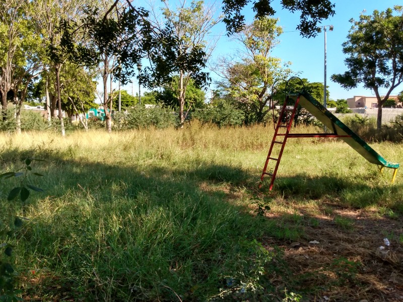Reportan descuido de parque en La Joya