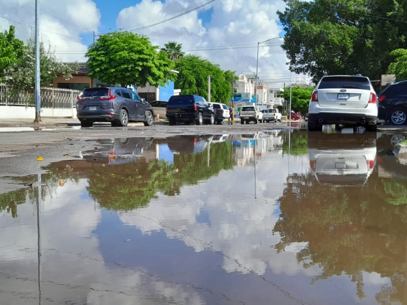 Reportan en sector Cuchilla afectaciones tras lluvias en Los Mochis