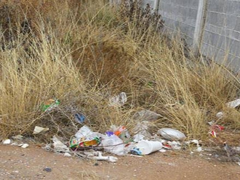 Reportan excesiva basura en baldío de Mar Negro