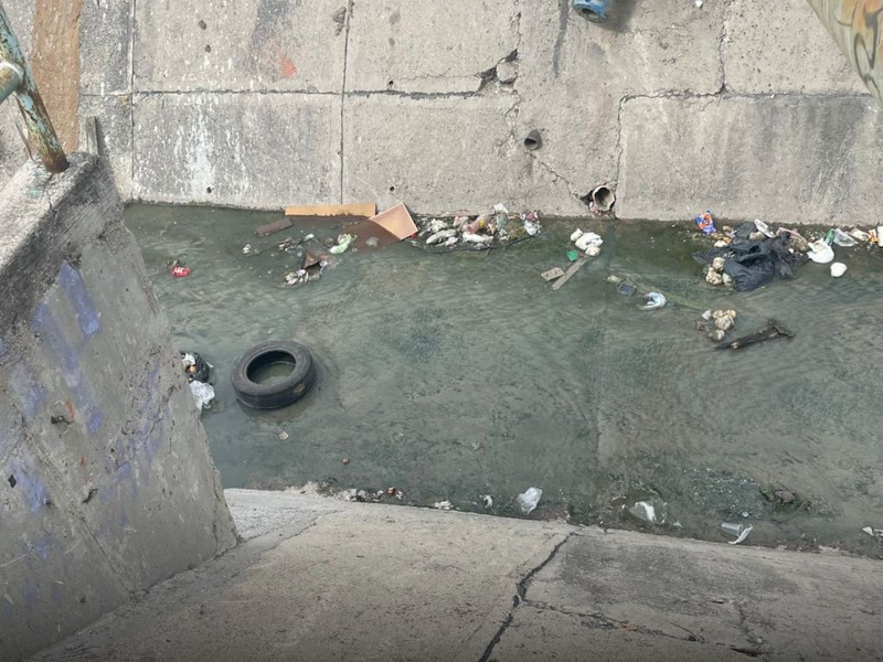 Reportan excesiva basura sobre Arroyo Mariches en colonia Piletas