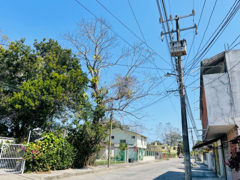 Reportan fallas de servicio eléctrico en Santiago de la Peña
