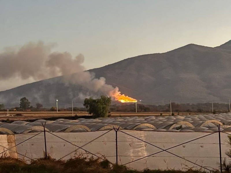 Reportan fuerte incendio en relleno sanitario de Tangancícuaro