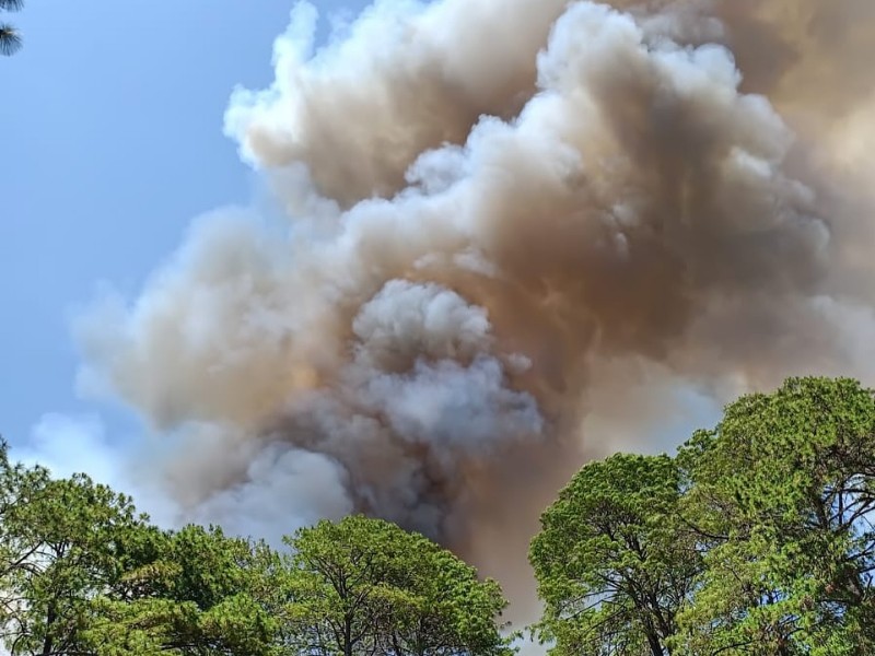 Reportan fuerte incendio forestal entre Mazamitla y Valle de Juárez