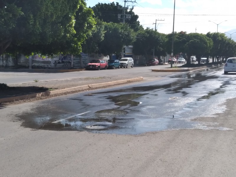 Reportan fuga de agua en avenida Baja California