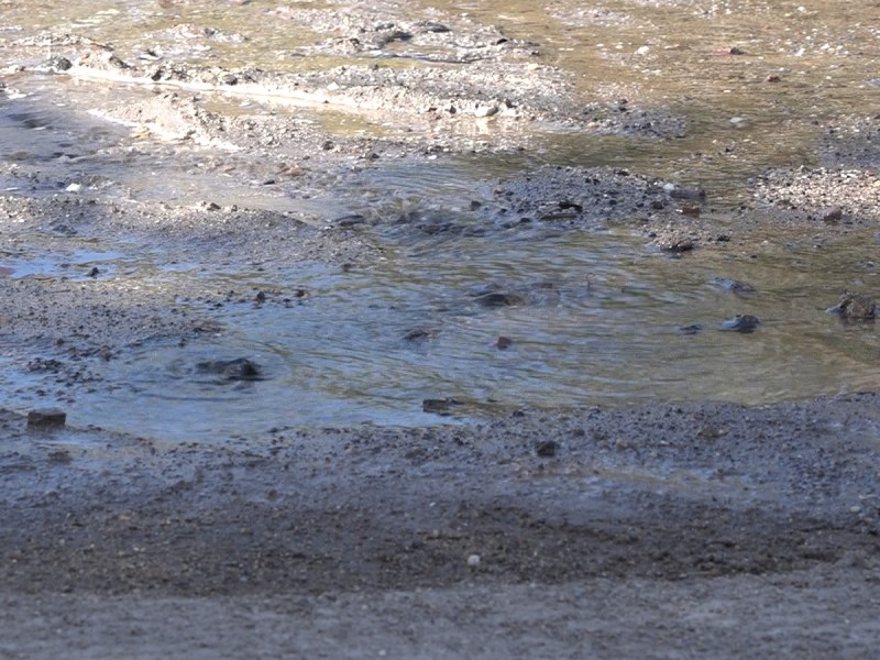 Reportan fuga de agua potable en col. Agustín Olachea