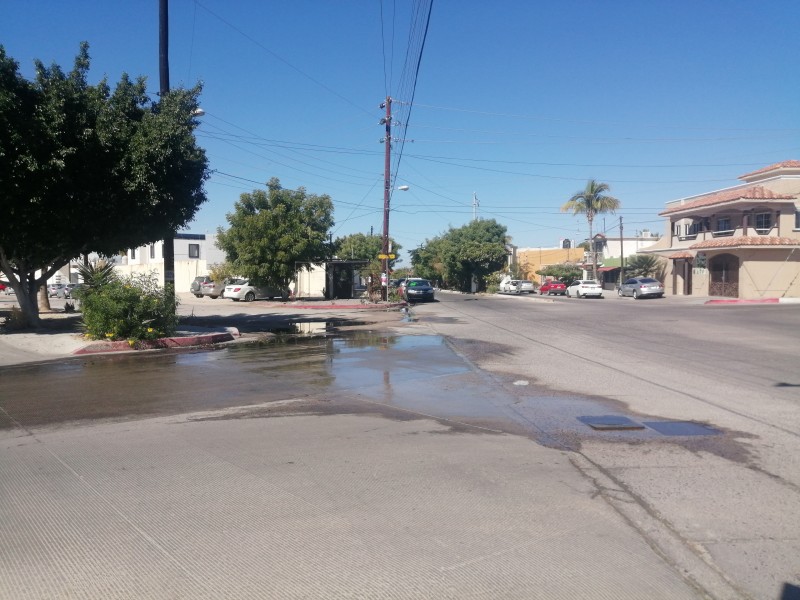 Reportan fuga de agua potable en colonia Adolfo Ruiz Cortínez