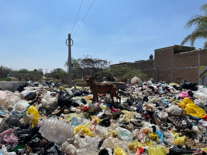 Reportan grandes cantidades de basura en San Juan de Abajo