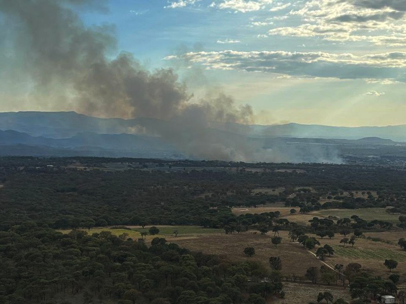 Reportan incendio dentro del Bosque de La Primavera