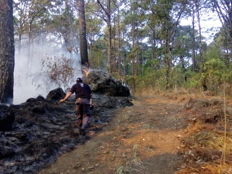 Reportan incendio en Parque Nacional de Uruapan