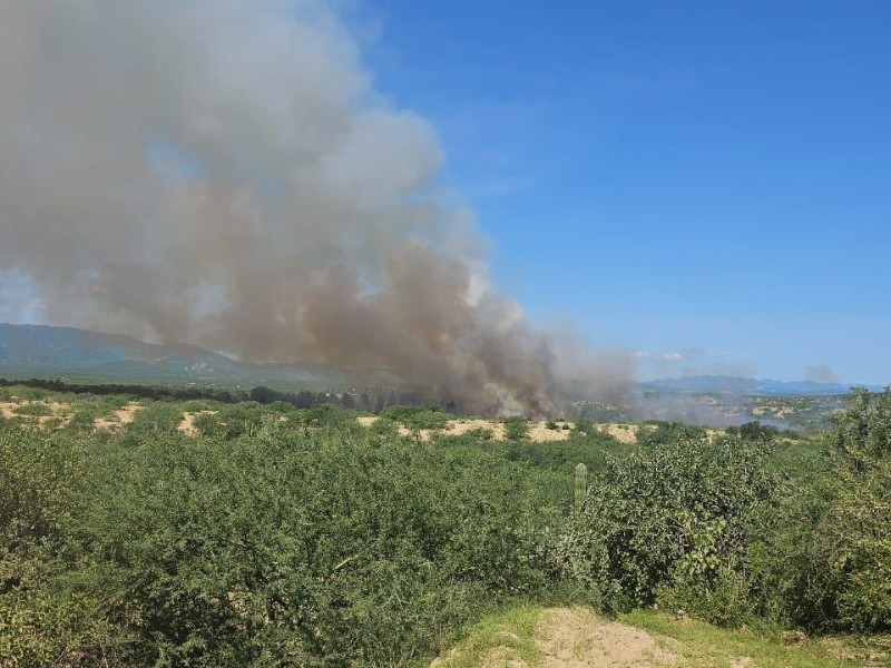 Reportan incendio en Rancho Leonero, en la comunidad de Buenavista