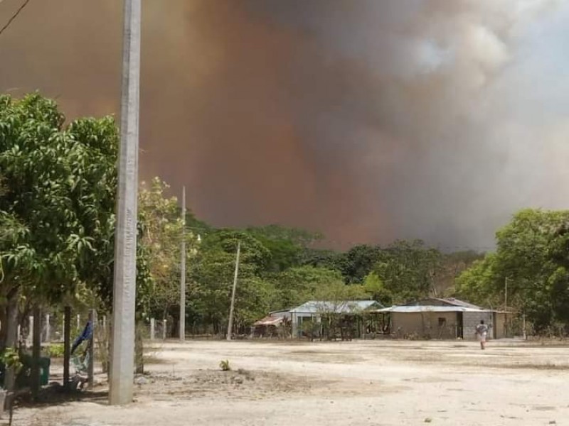 Reportan incendio en Sitio Las Flores en Ixtaltepec