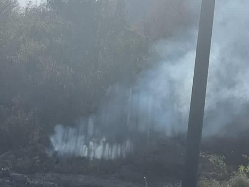 Reportan incendio forestal el Tular