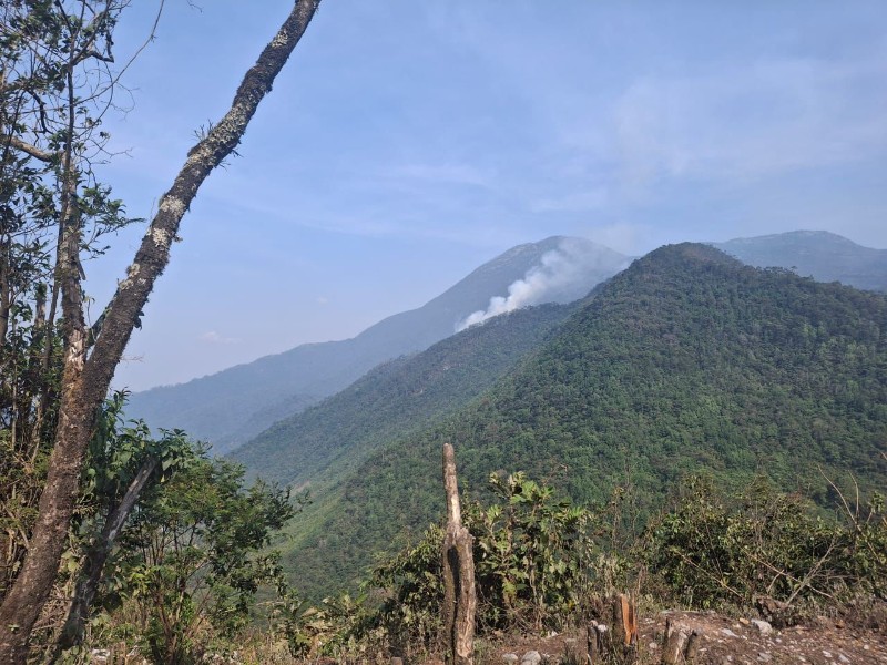 Reportan incendio forestal en comunidades de Coyomeapan