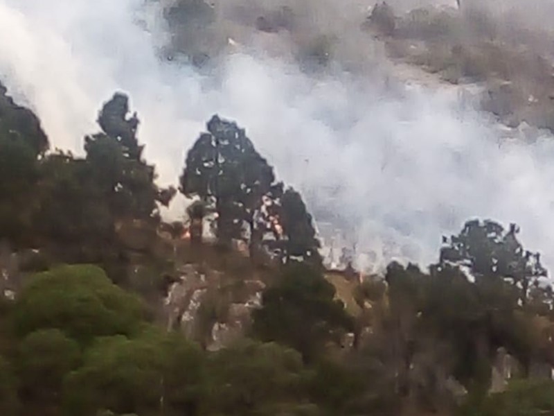 Reportan incendio forestal en región Sureste de Coahuila